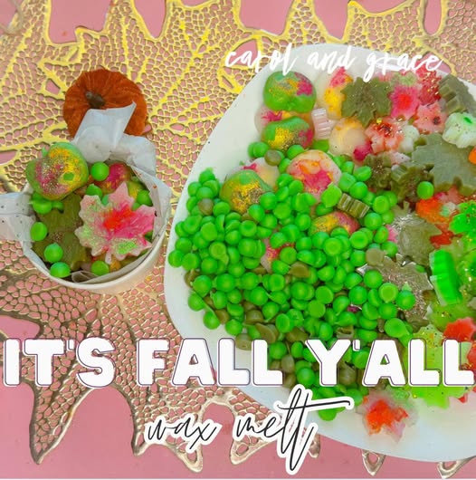 IT'S FALL Y'ALL WAX MELTS