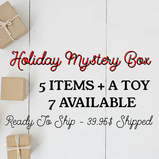 HOLIDAY MYSTERY BOX - 5 items + TOY