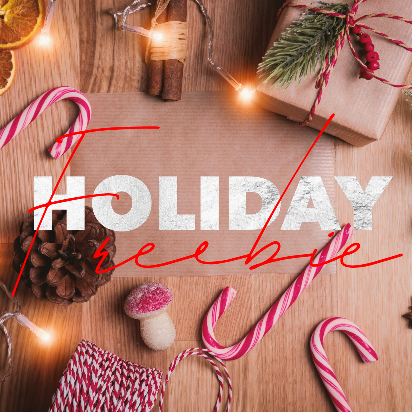 HOLIDAY FREEBIE (50$+ orders)